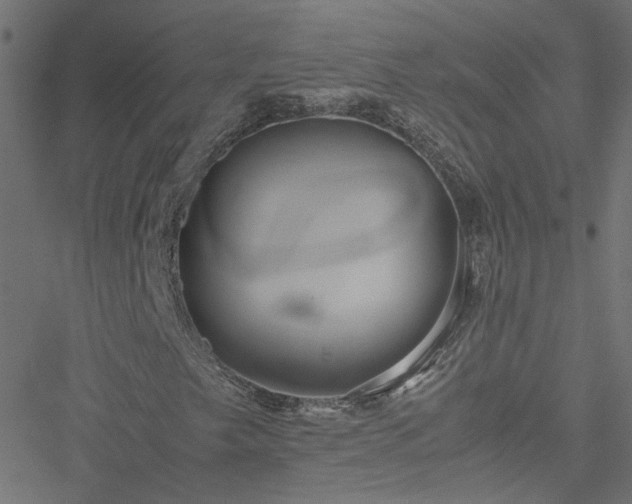 X0000051251249200506241538