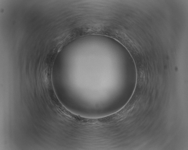 X0000051251250200506241538