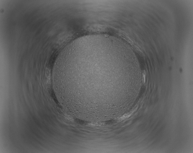 X0000051251251200506241538