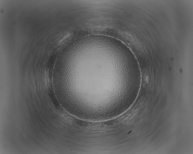 X0000051251252200506241538