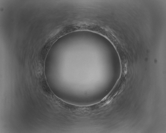 X0000051251253200506241538