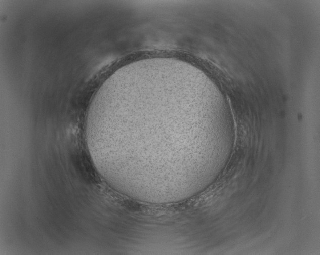 X0000051251254200506241538