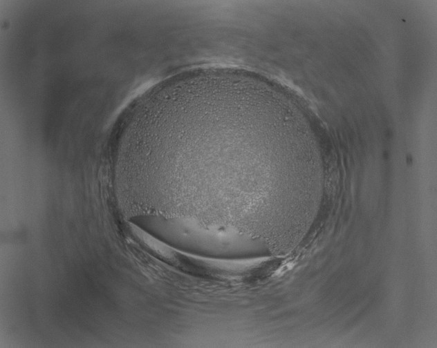 X0000051251255200506241538