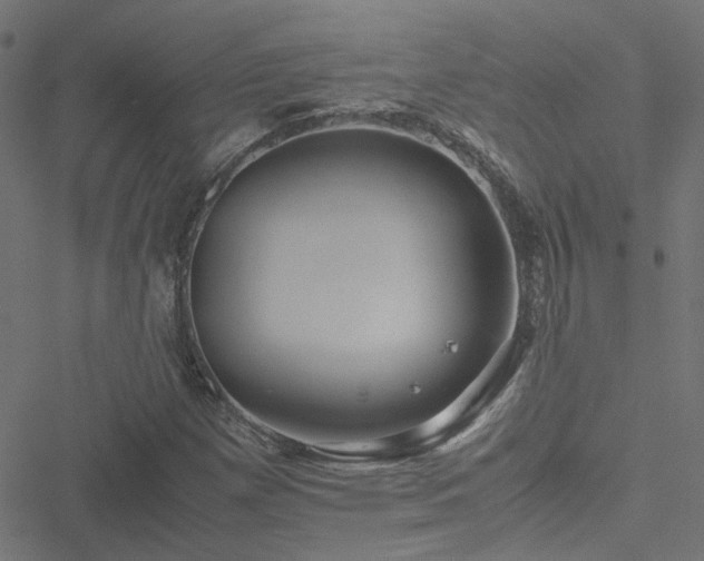 X0000051251257200506241538