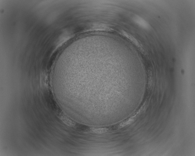 X0000051251258200506241538