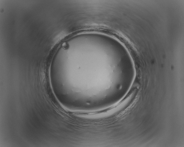 X0000051251259200506241538