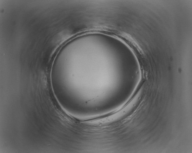 X0000051251260200506241538