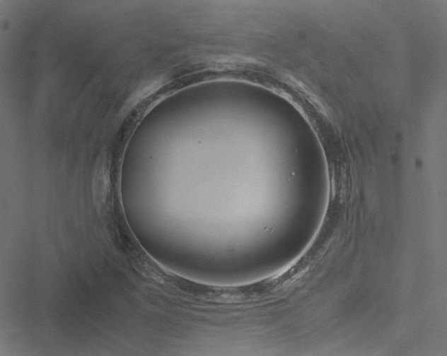 X0000051251261200506241538