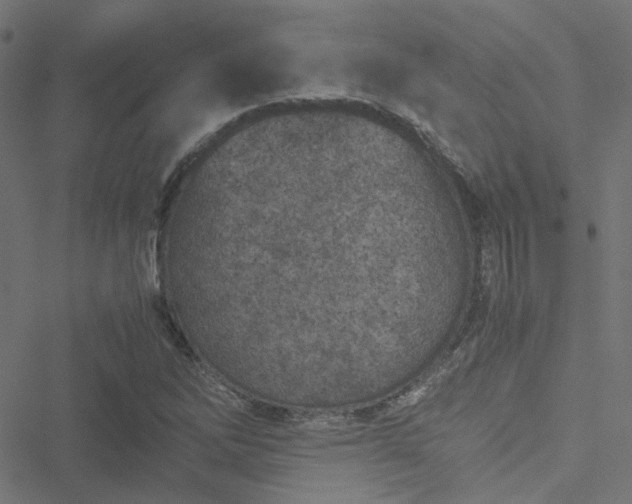 X0000051251262200506241537