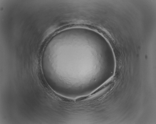 X0000051251263200506241537