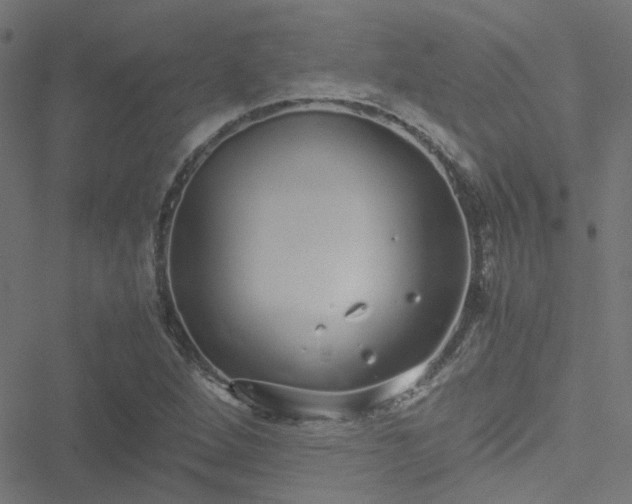 X0000051251264200506241537