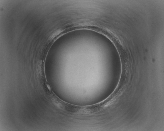 X0000051251265200506241537