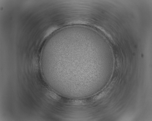 X0000051251266200506241537