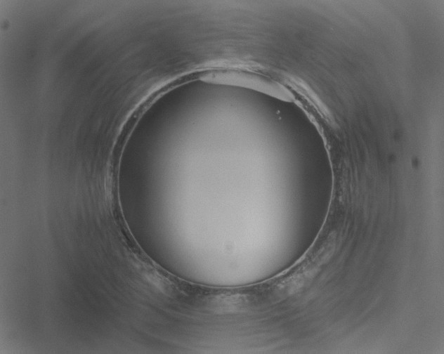 X0000051251268200506241537