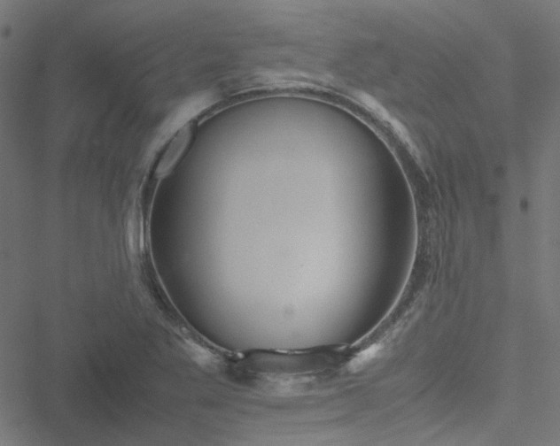 X0000051251269200506241537