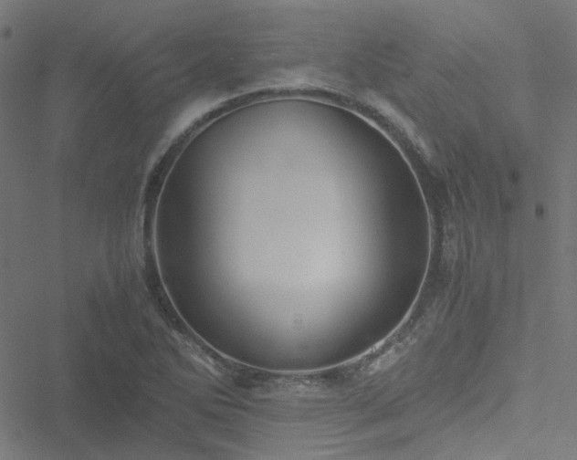 X0000051251270200506241537