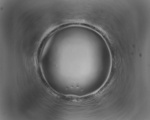 X0000051251271200506241537