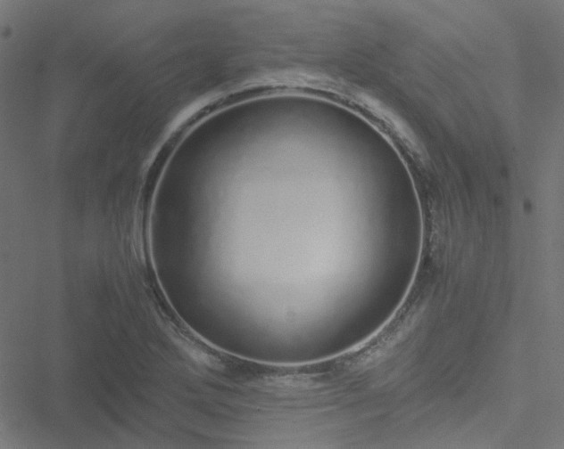 X0000051251272200506241537