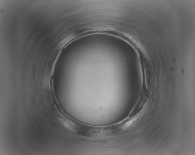 X0000051251273200506241537