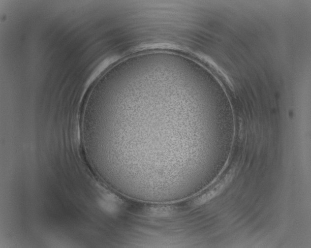 X0000051251274200506241537