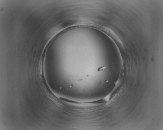 X0000051251276200506241537