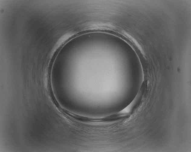 X0000051251277200506241537