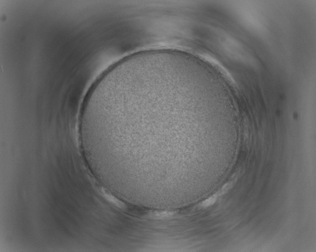 X0000051251278200506241537