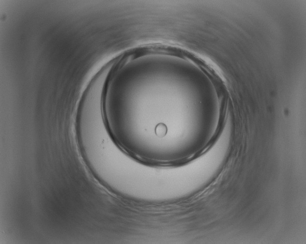 X0000051251279200506241537