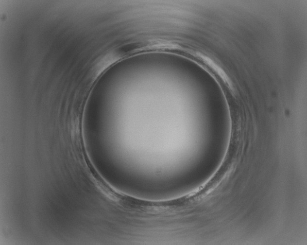 X0000051251281200506241537