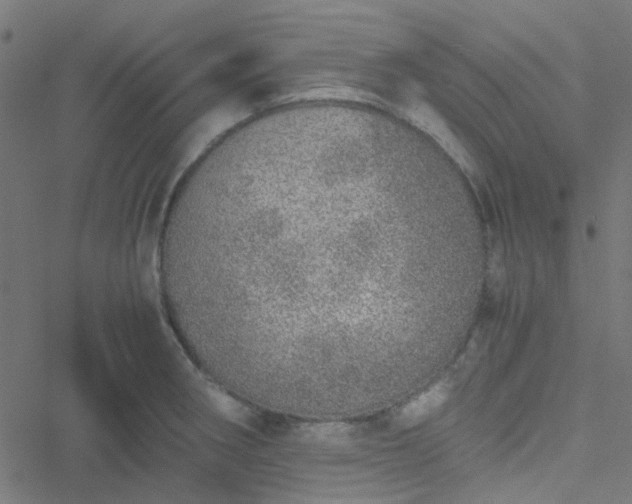 X0000051251282200506241537