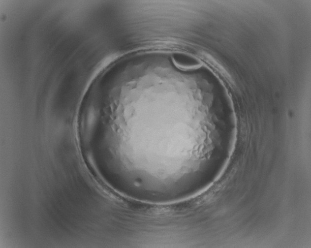 X0000051251283200506241537