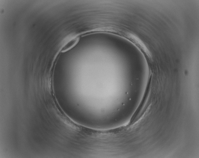 X0000051251284200506241537