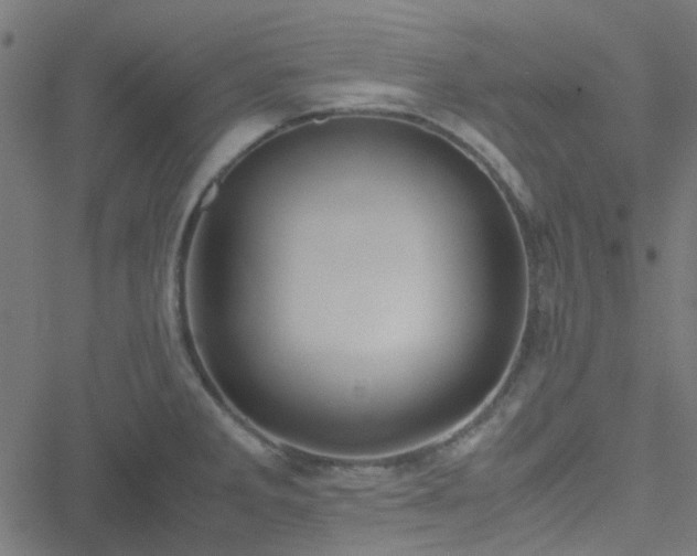 X0000051251285200506241537