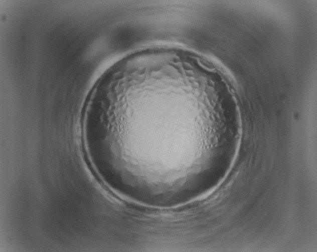 X0000051251287200506241537