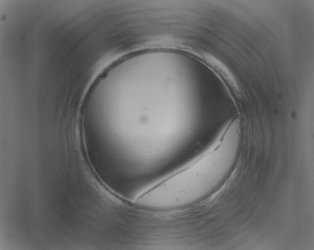 X0000051251288200506241537