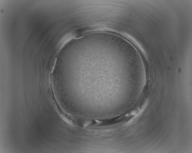 X0000051251289200506241537