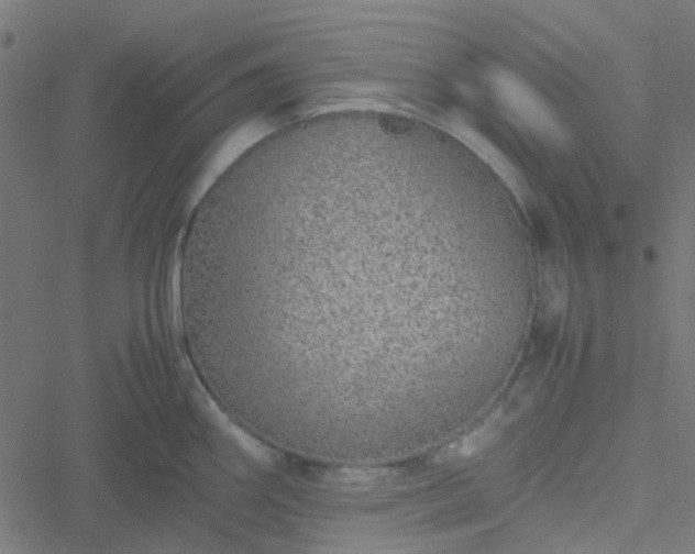 X0000051251290200506241537