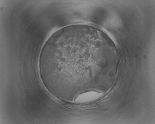 X0000051251291200506241537