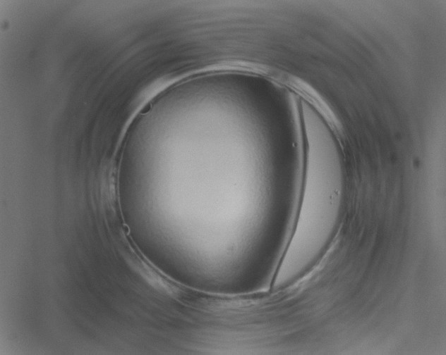 X0000051251292200506241537