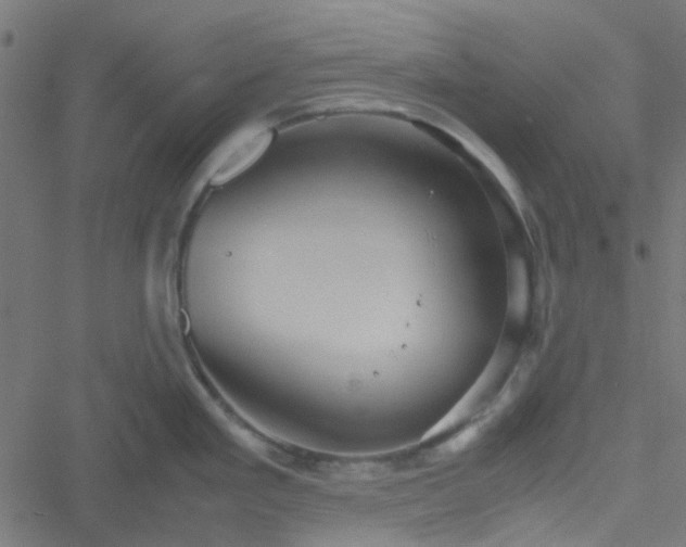 X0000051251293200506241537