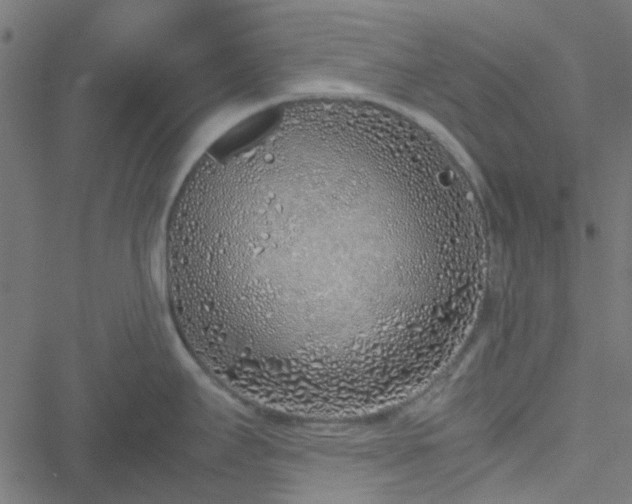 X0000051251295200506241537