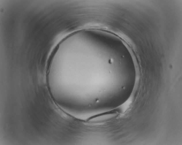 X0000051251296200506241537