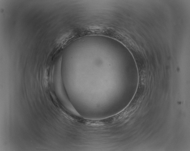 X0000051251298200506241536