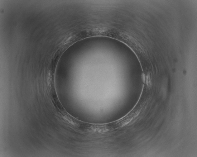 X0000051251299200506241536