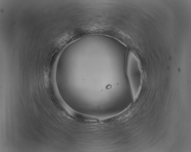 X0000051251300200506241536