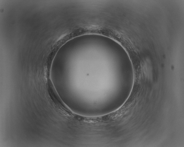 X0000051251301200506241536