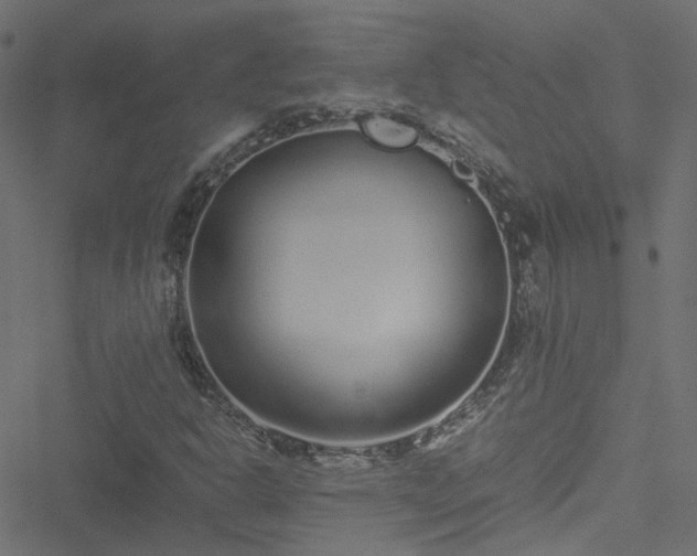 X0000051251302200506241536