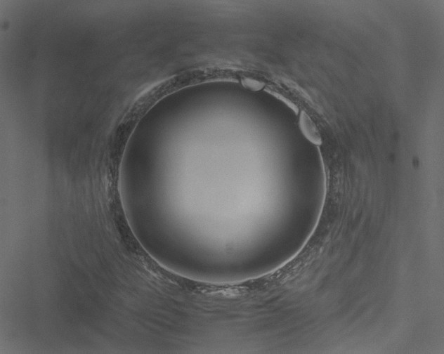 X0000051251303200506241536