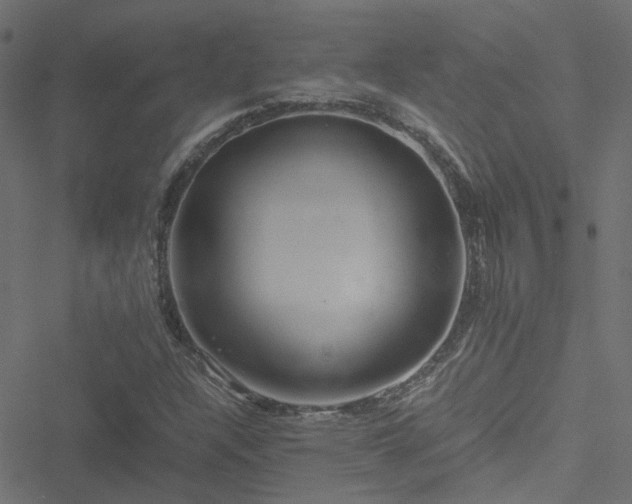 X0000051251304200506241536