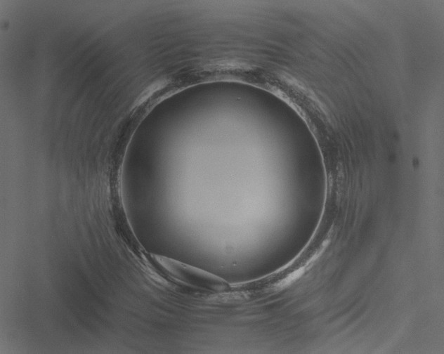 X0000051251305200506241536